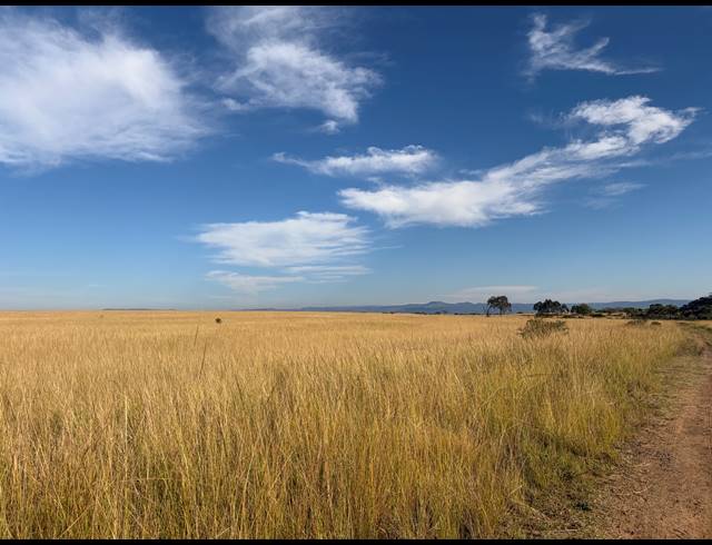 300HA VACANT LAND FOR SALE IN PIETERMARITZBURG RURAL